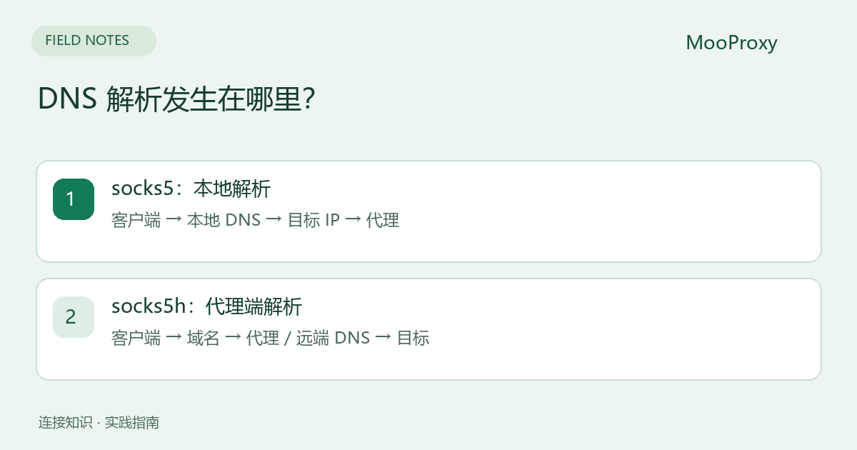 DNS 解析发生在哪里?;socks5:本地解析;客户端 → 本地 DNS → 目标 IP → 代理;socks5h:代理端解析;客户端 → 域名 → 代理 / 远端 DNS → 目标